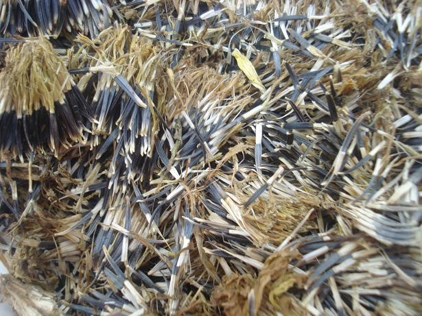 Ilustracja do pytania 17