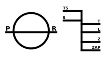 Ilustracja do pytania 30