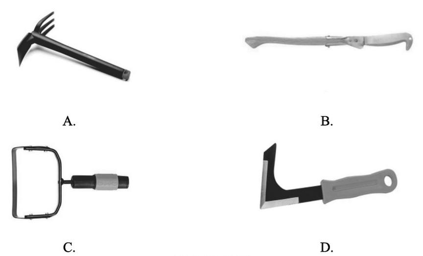 Ilustracja do pytania 18