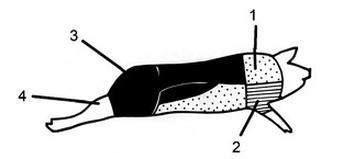 Ilustracja do pytania