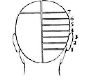 Ilustracja do pytania 37