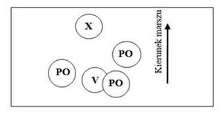 Ilustracja do pytania 27