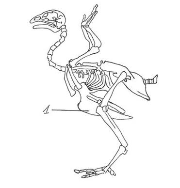 Ilustracja do pytania