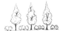 Ilustracja do pytania