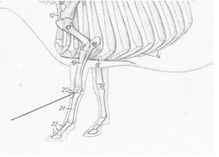 Ilustracja do pytania 34