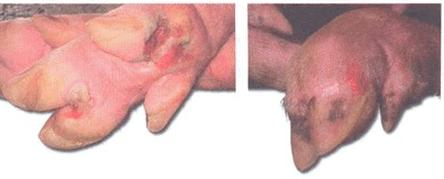 Ilustracja do pytania