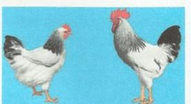 Ilustracja do pytania 1