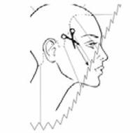 Ilustracja do pytania 23