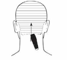 Ilustracja do pytania 30