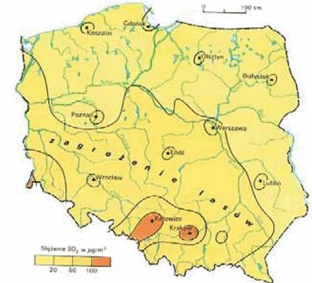 Ilustracja do pytania 32