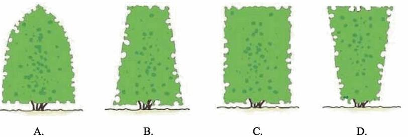 Ilustracja do pytania 13