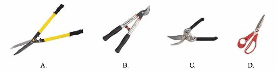 Ilustracja do pytania 8