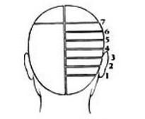 Ilustracja do pytania 38