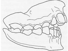 Ilustracja do pytania