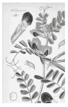 Ilustracja do pytania 4