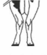 Ilustracja do pytania