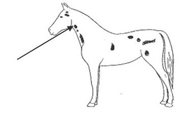 Ilustracja do pytania 5