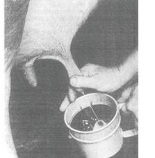 Ilustracja do pytania