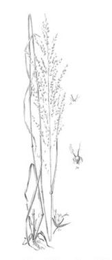 Ilustracja do pytania