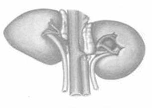 Ilustracja do pytania