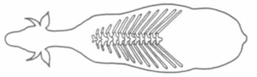 Ilustracja do pytania