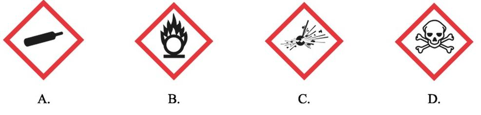 Ilustracja do pytania 28