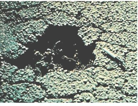 Ilustracja do pytania 31