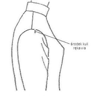 Ilustracja do pytania 13