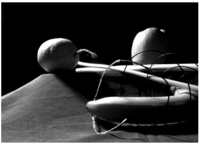 Ilustracja do pytania