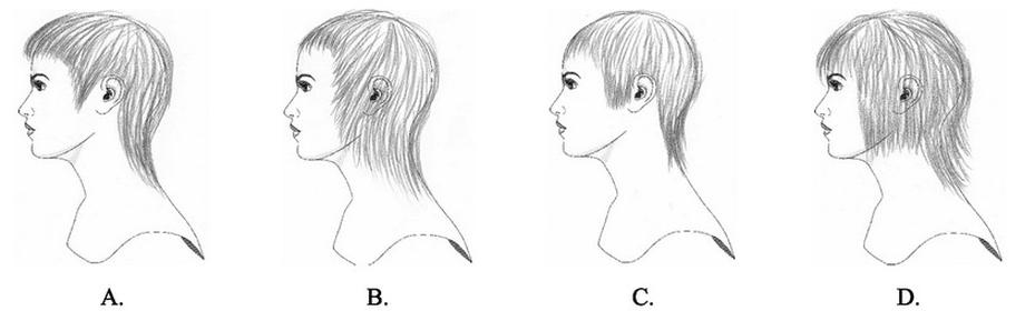 Ilustracja do pytania 10