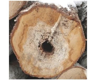 Ilustracja do pytania