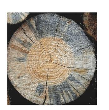 Ilustracja do pytania