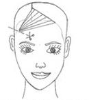 Ilustracja do pytania 23