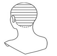 Ilustracja do pytania 37