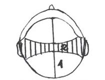 Ilustracja do pytania 6