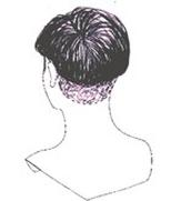 Ilustracja do pytania