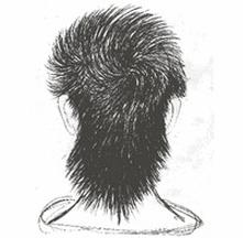 Ilustracja do pytania