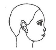 Ilustracja do pytania 35