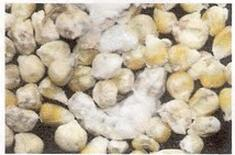 Ilustracja do pytania