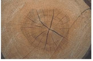 Ilustracja do pytania