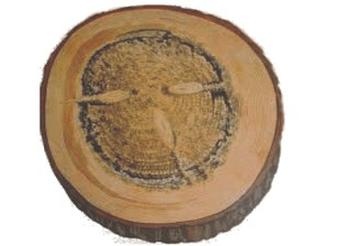 Ilustracja do pytania