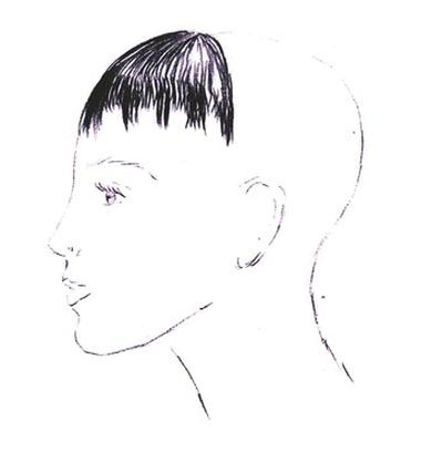 Ilustracja do pytania 40