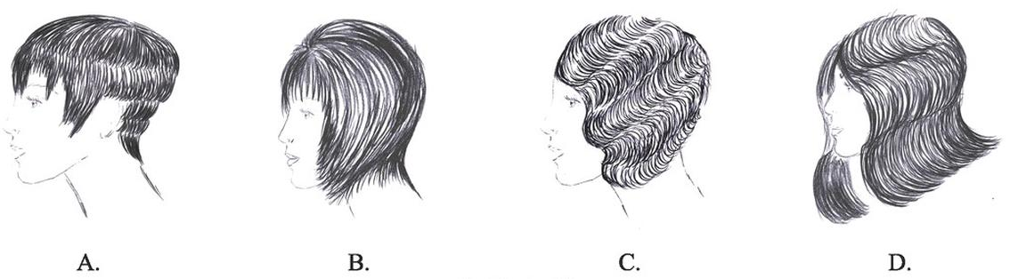 Ilustracja do pytania 21