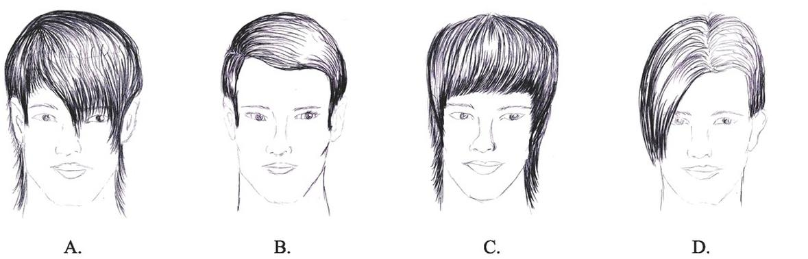 Ilustracja do pytania 13