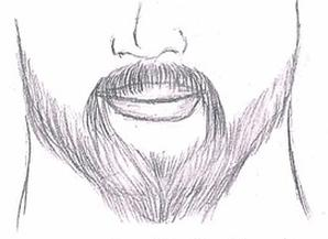 Ilustracja do pytania 16