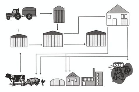 Ilustracja do pytania