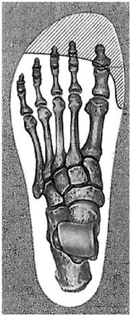 Ilustracja do pytania 15