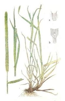 Ilustracja do pytania 16