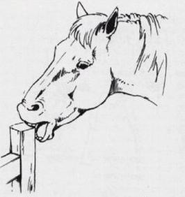 Ilustracja do pytania 10