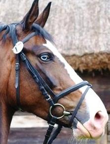 Ilustracja do pytania 3